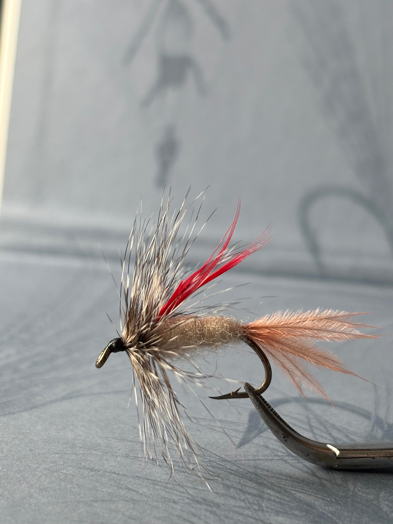 Wet & dry Flies