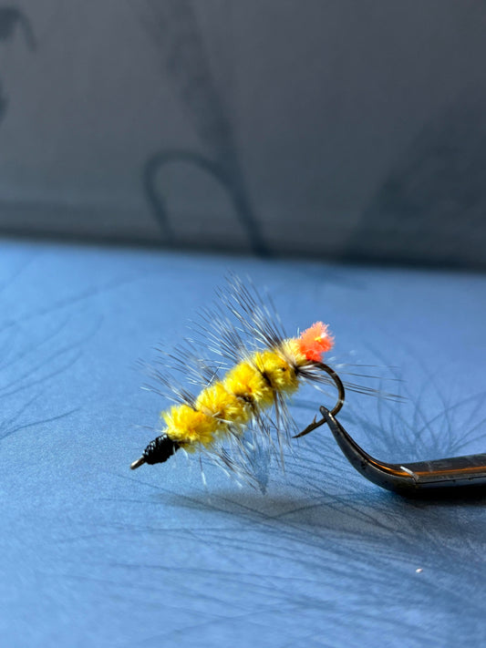 Woolly Worm Streamer